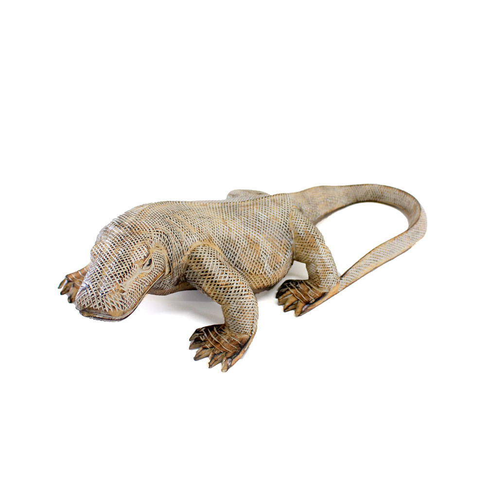 コモドドラゴン 60cm