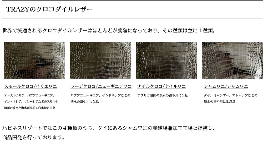 TRAZYクロコダイル