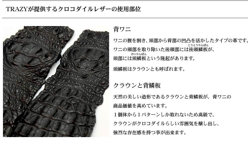 TRAZYクロコダイル