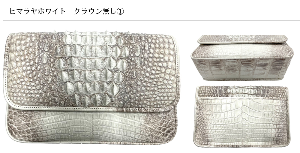 TRAZYクロコダイル