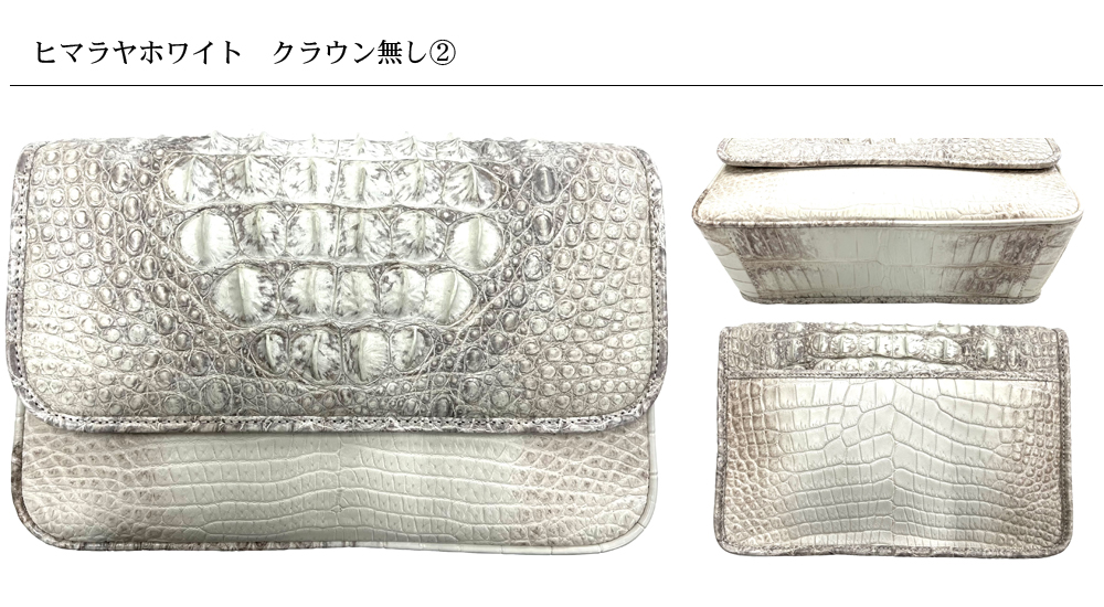 TRAZYクロコダイル