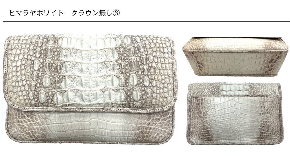 TRAZYクロコダイル