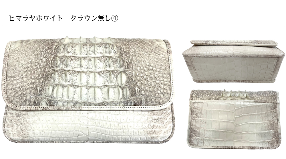 TRAZYクロコダイル